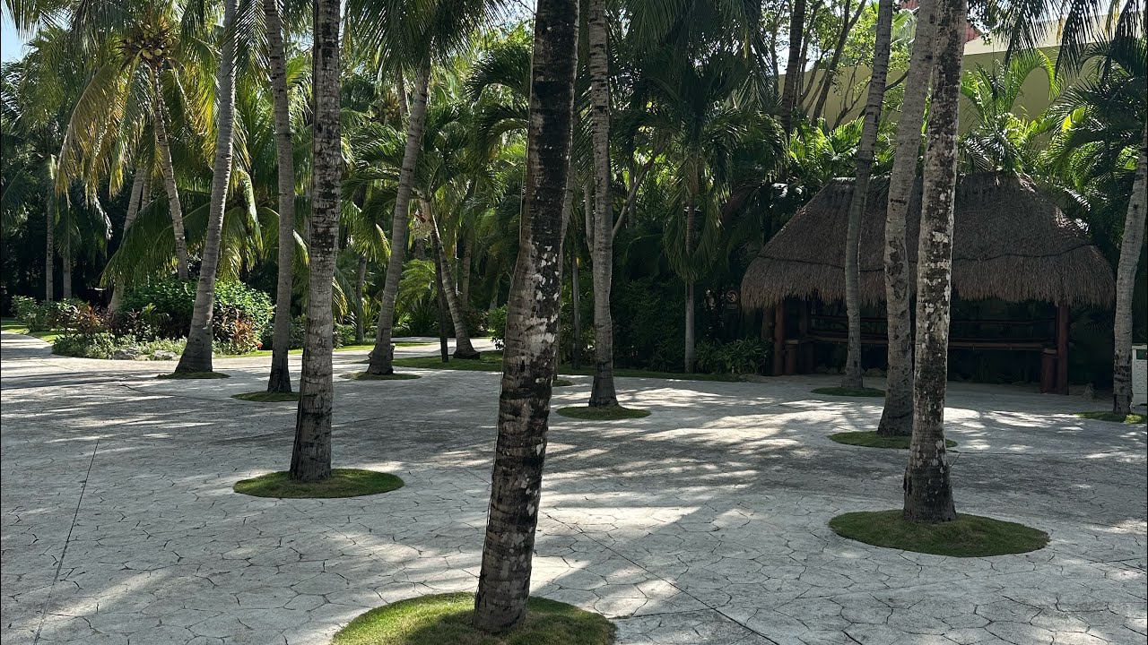El Dorado Royale, Playa Del Carmen, Mexico ~ vacation
