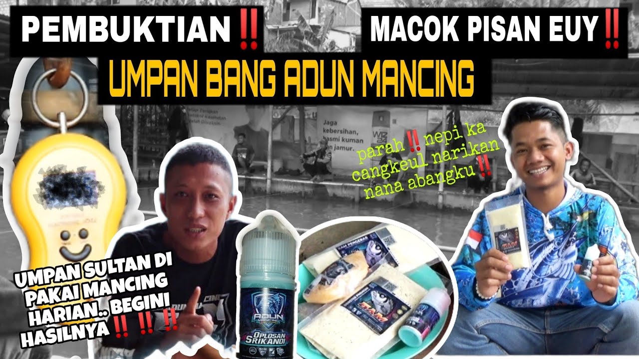 🔴PEMBUKTIAN UMPAN BANG ADUN MANCING‼️BAM JAGUNG PLUS OPLOSAN SRIKANDI MACOK PISAN EUY