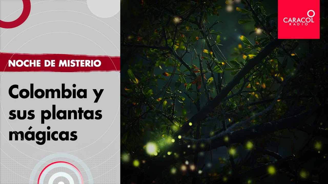 Noche de Misterio: Colombia y sus plantas mágicas