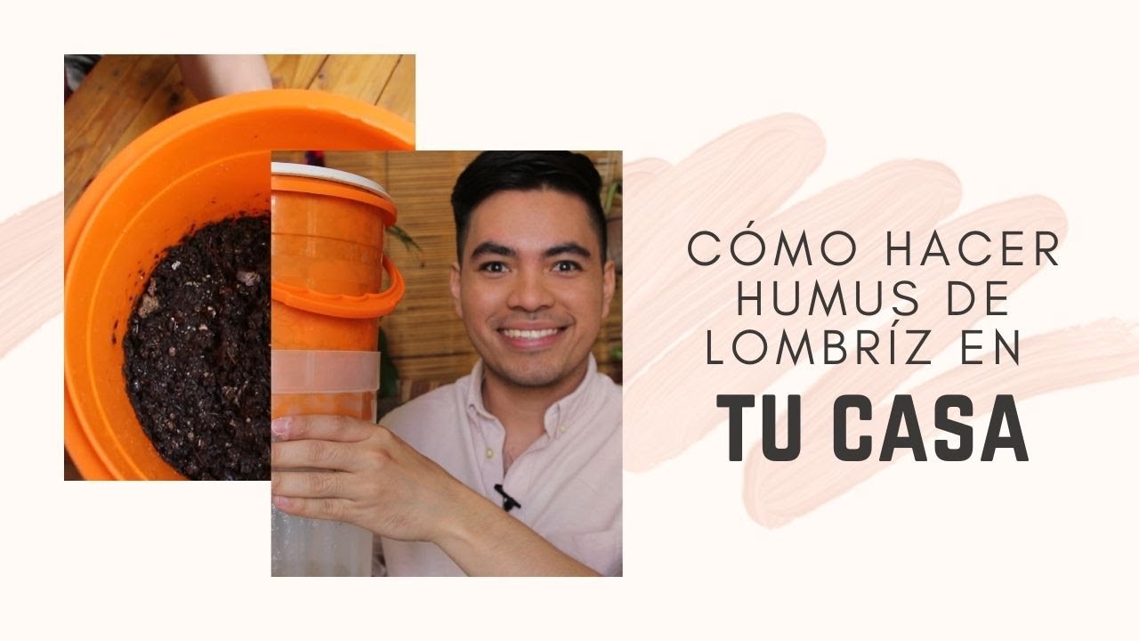 Cómo hacer humus de lombriz en casa