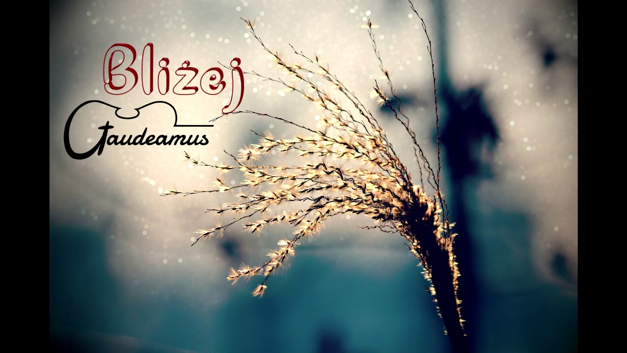 Gaudeamus - Bliżej