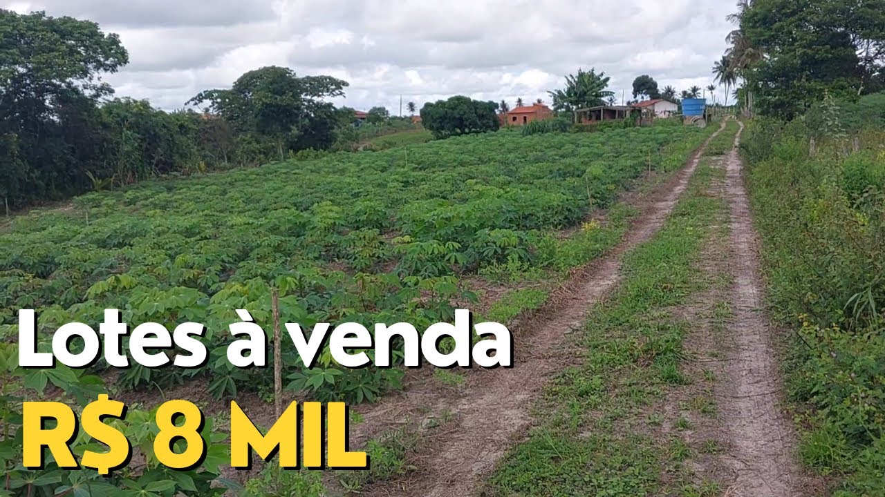O PROPRIETÁRIO ESTÁ COM LOTES À VENDA E ESTÁ VENDENDO CADA UM A R$ 8 MIL (OPORTUNIDADE!)