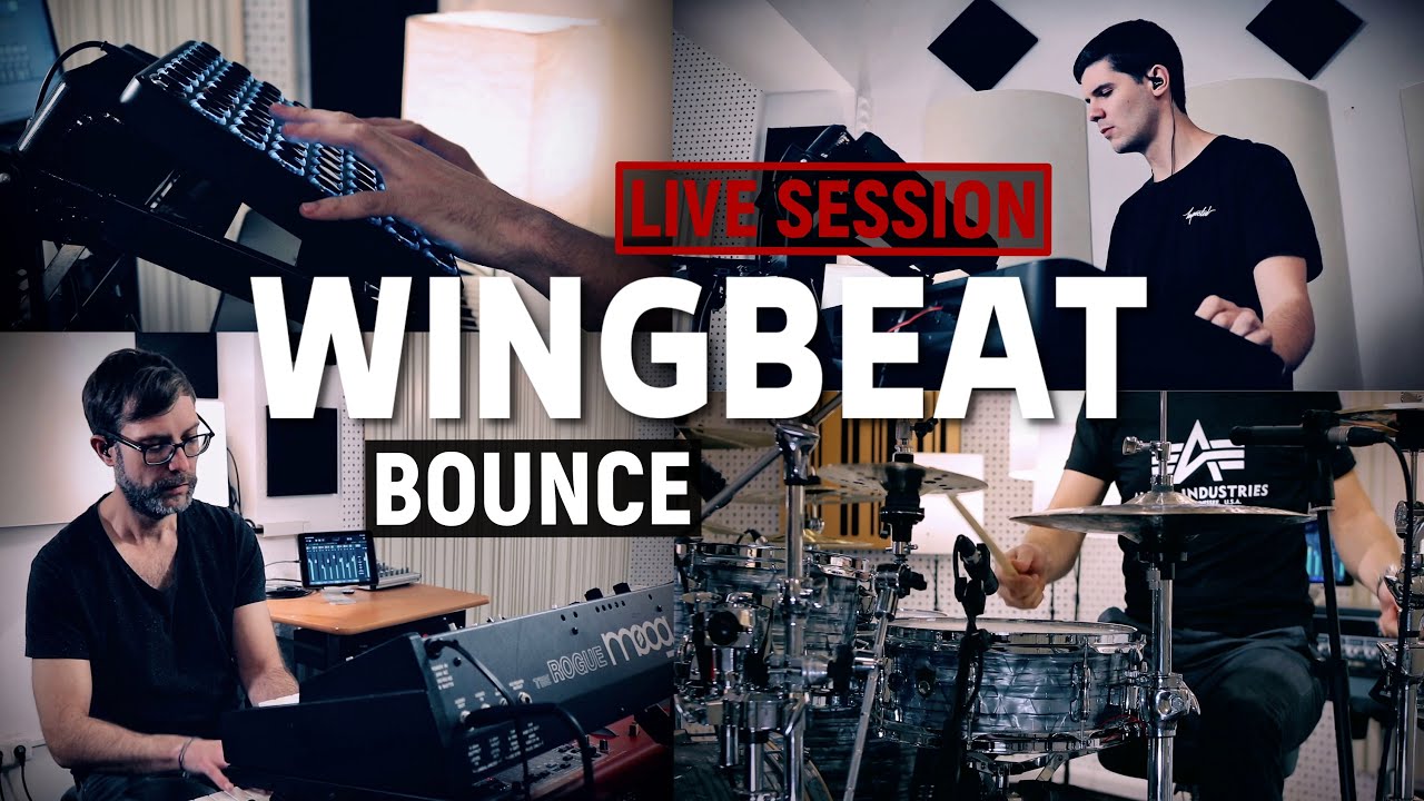 Wingbeat electro jazz studio session 