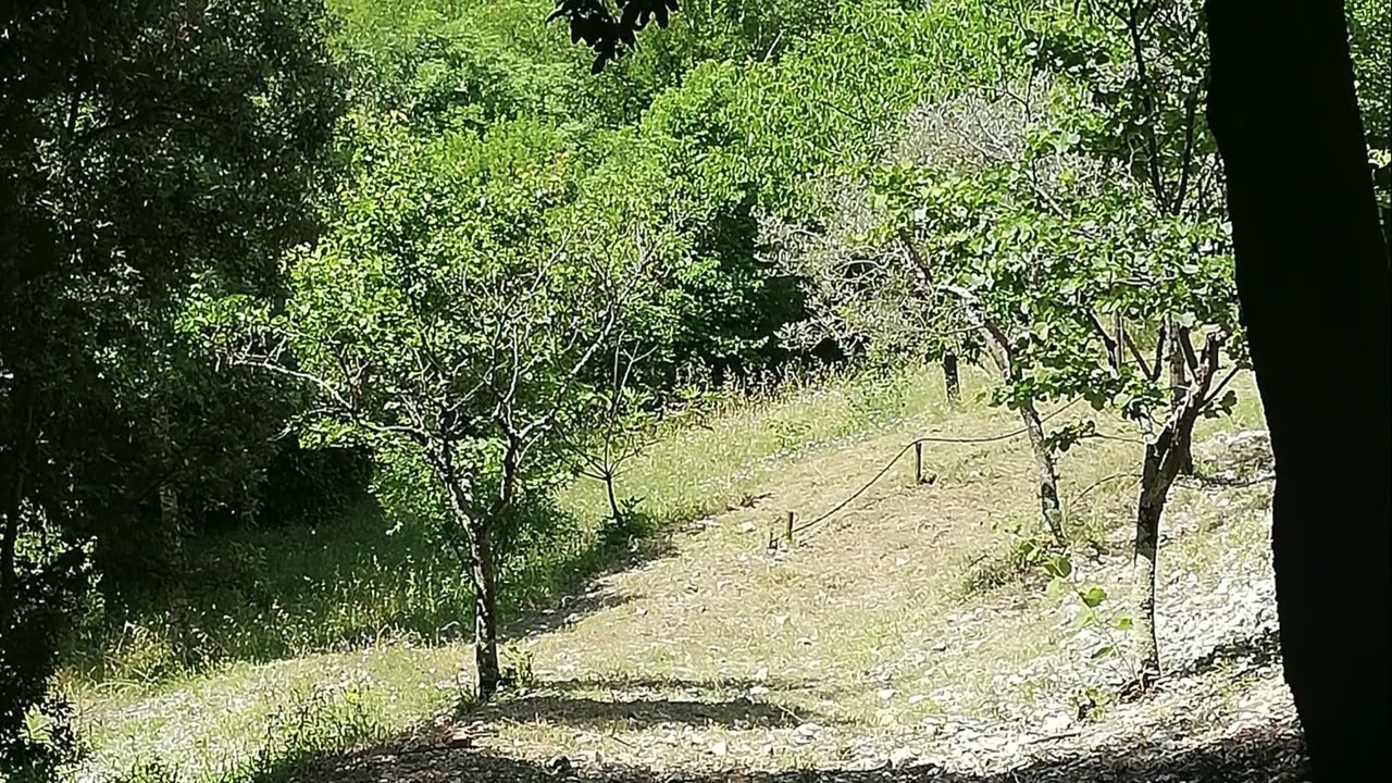 Una gita in campagna