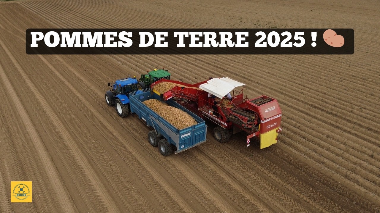 ON ARRACHE TOUT ! (Pommes de Terre 2025 - Broyage et Arrachage)