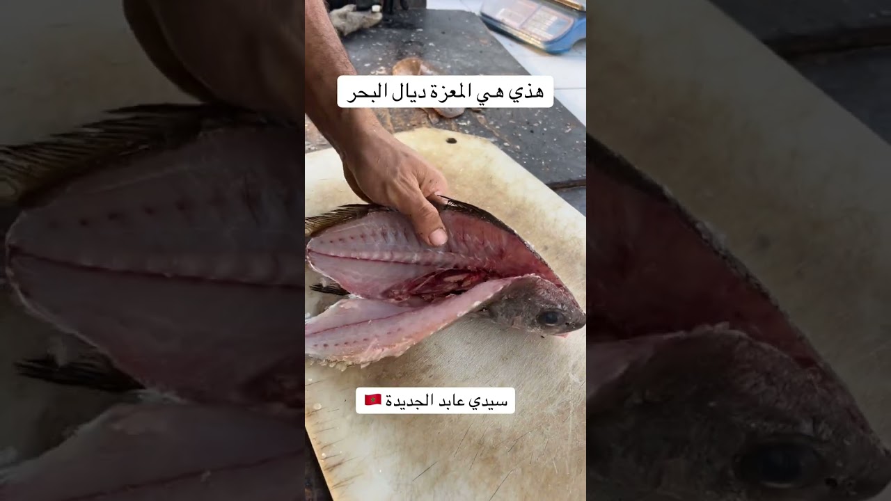 Restaurant sardenya Sidi Abed El Jadida 