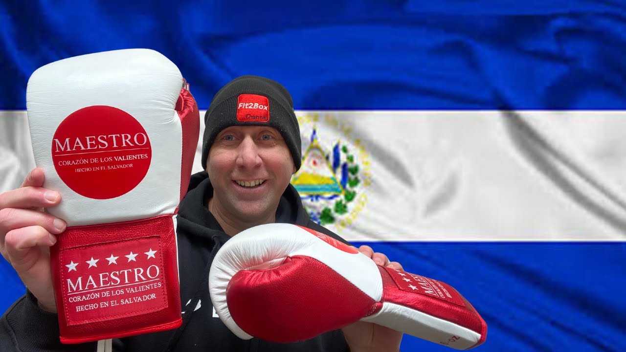 Maestro BOXING GLOVES REVIEW