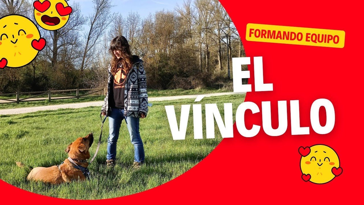 Como mejorar el VÍNCULO con mi PERRO 🐶