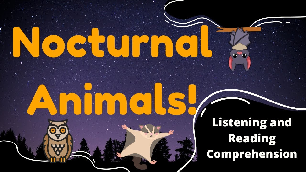 Nocturnal Animal Facts for Kids: Listening and Reading Comprehension 🦉🦝🦇