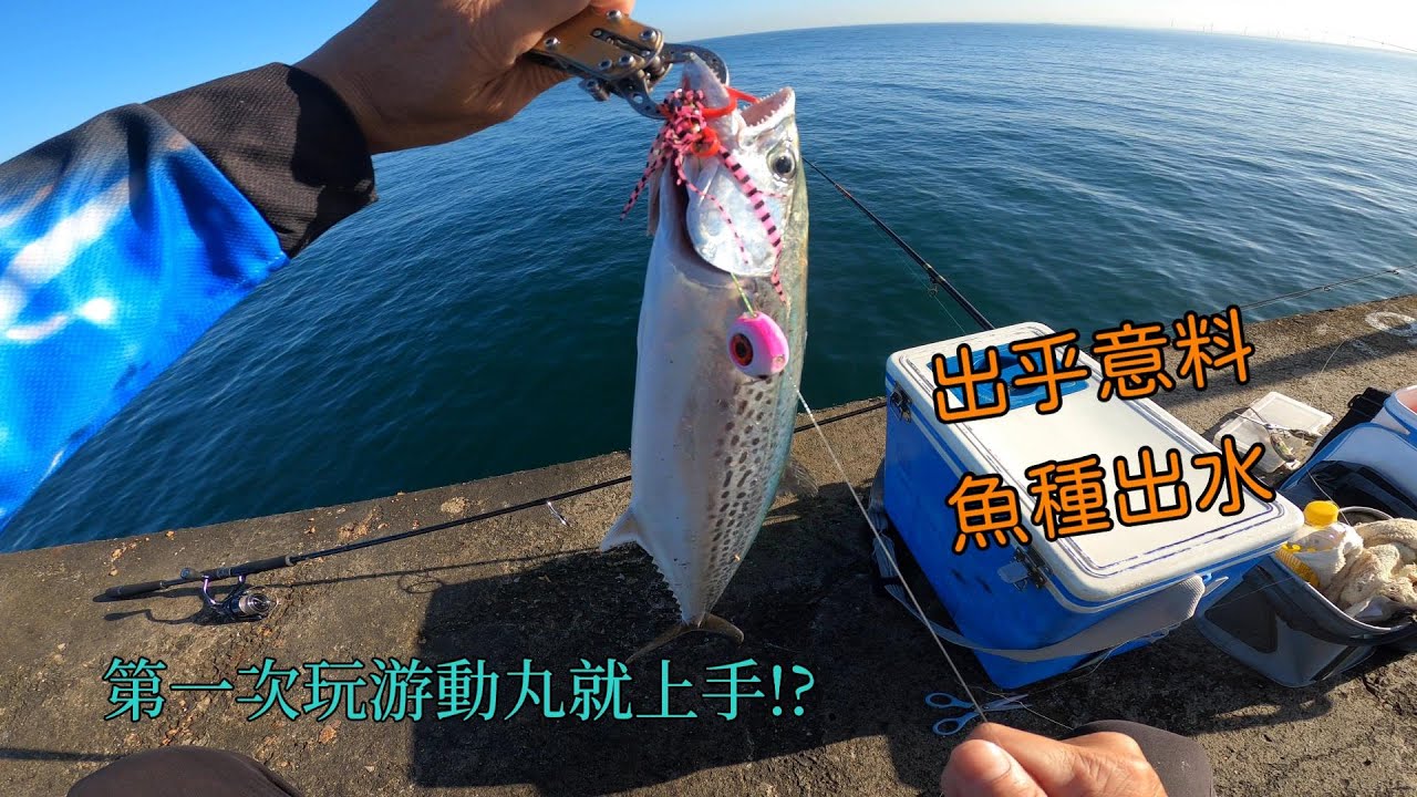 全堤都不咬,游動丸丟下去竟然中魚了, 還是超級兇猛的珍貴掠食魚類...#南投小江 #釣魚 #Fishing #Mancing #釣り