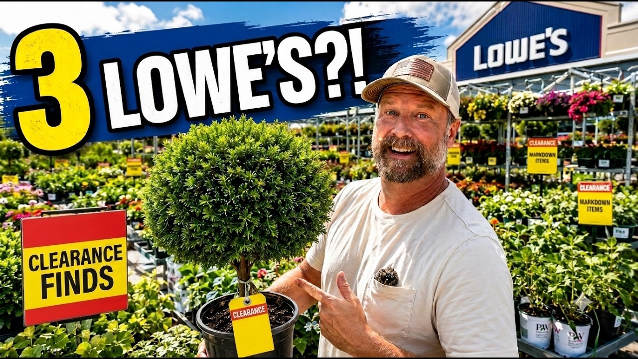 I Checked 3 Lowe&rsquo;s Clearance Racks&mdash;The Last Store Was LOADED