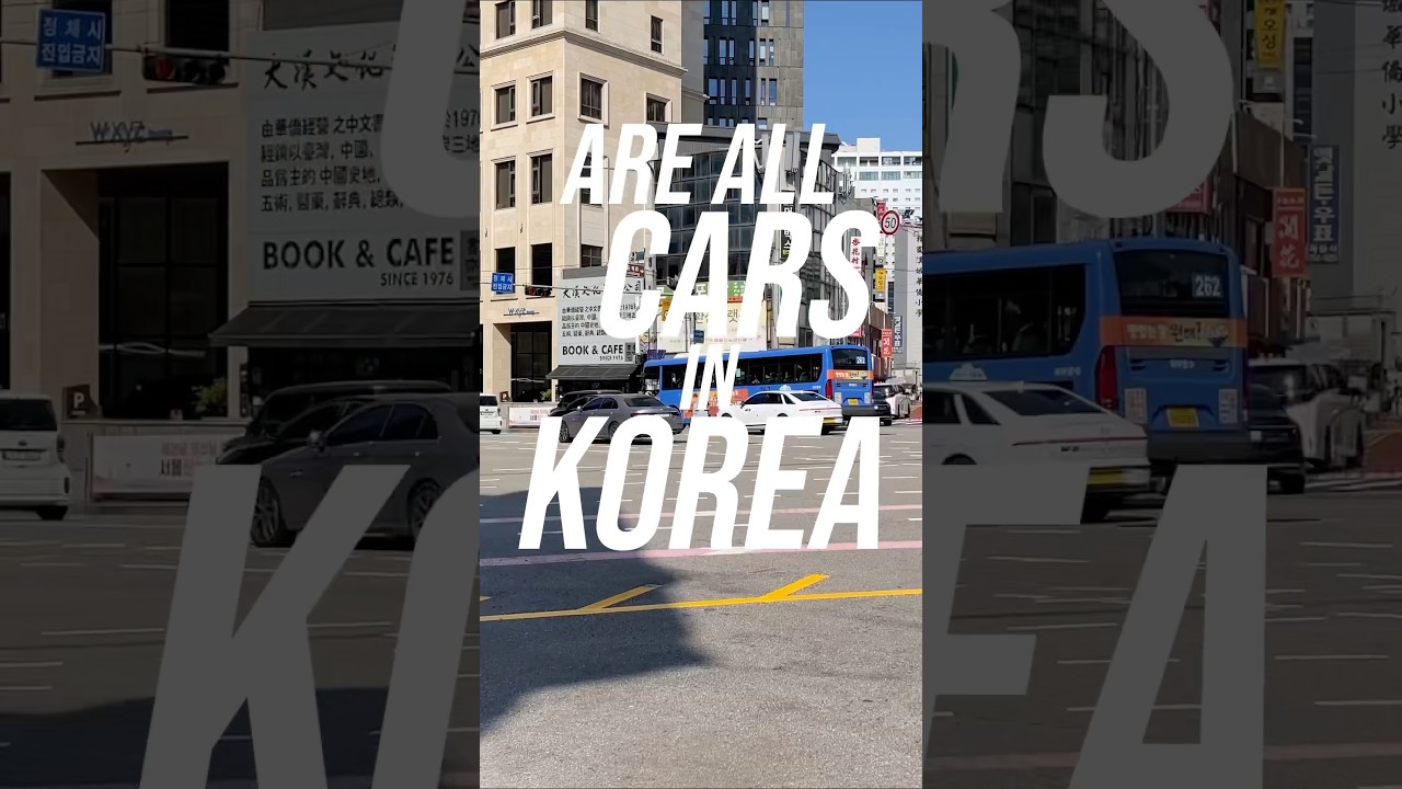 Wait&hellip; are all cars in Korea Hyundai or Kia? #korea #seoul #travel #hyundai #kia #cars