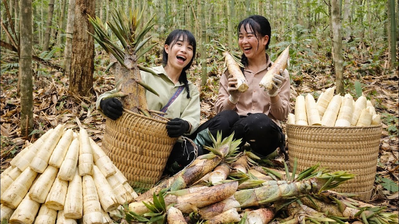 Surprise! Two sisters went to gather bamboo shoots in the forest and the outcome was unexpected.