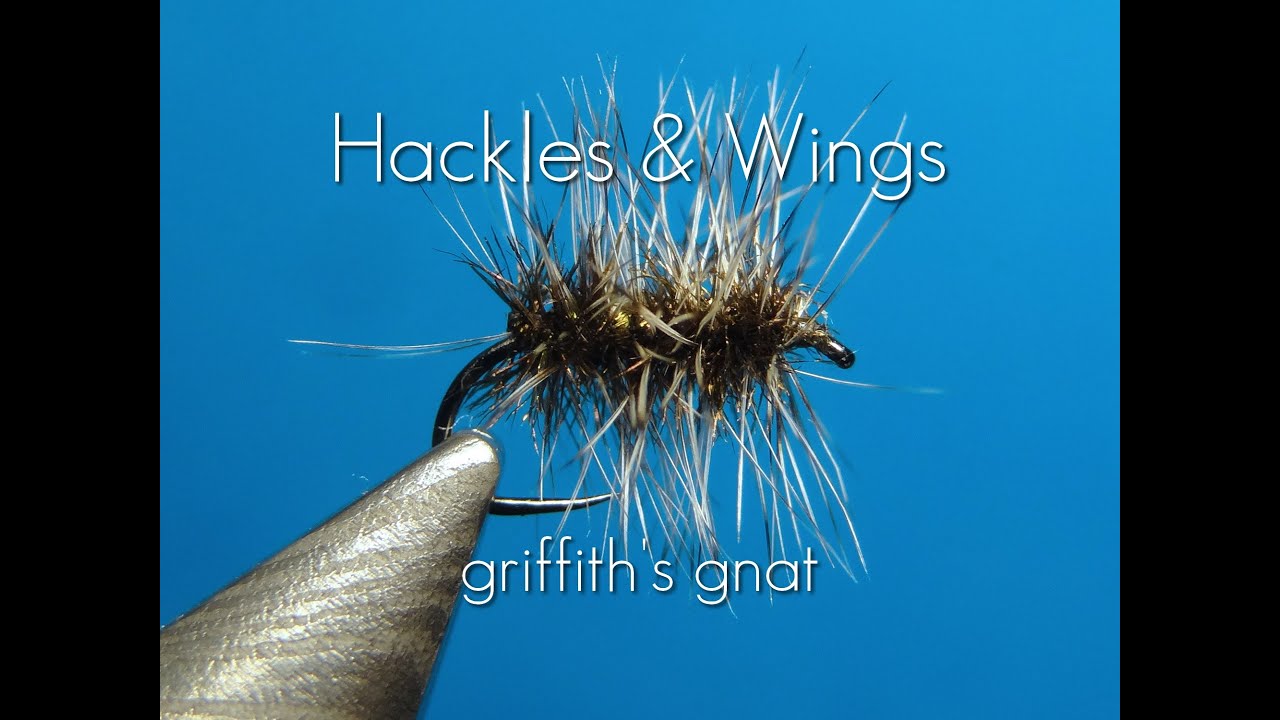 Fly Tying Griffith's Gnat | Hackles & Wings