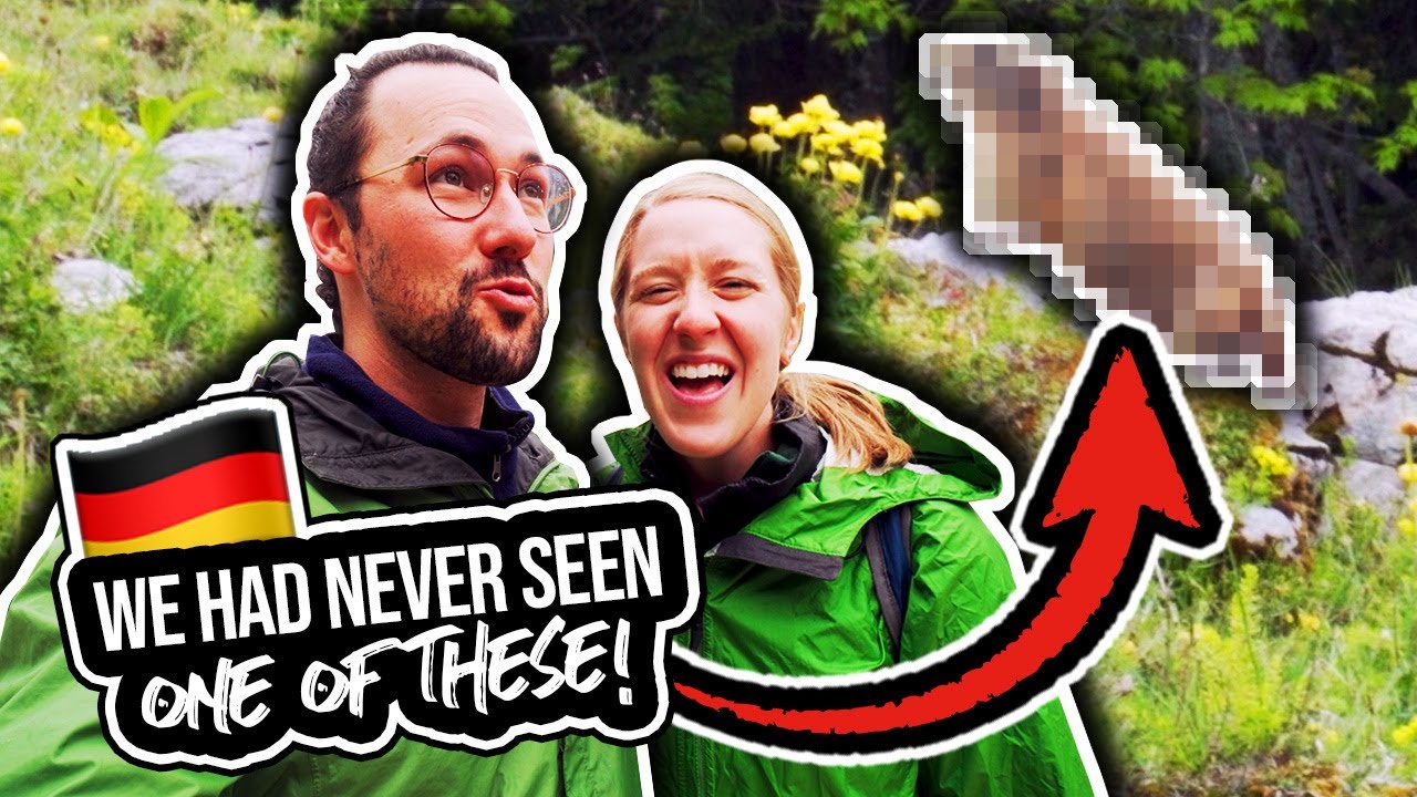 AMERICANS CAPTURE GERMAN WILD ANIMALS IN THE ALPS (Part 2/2)