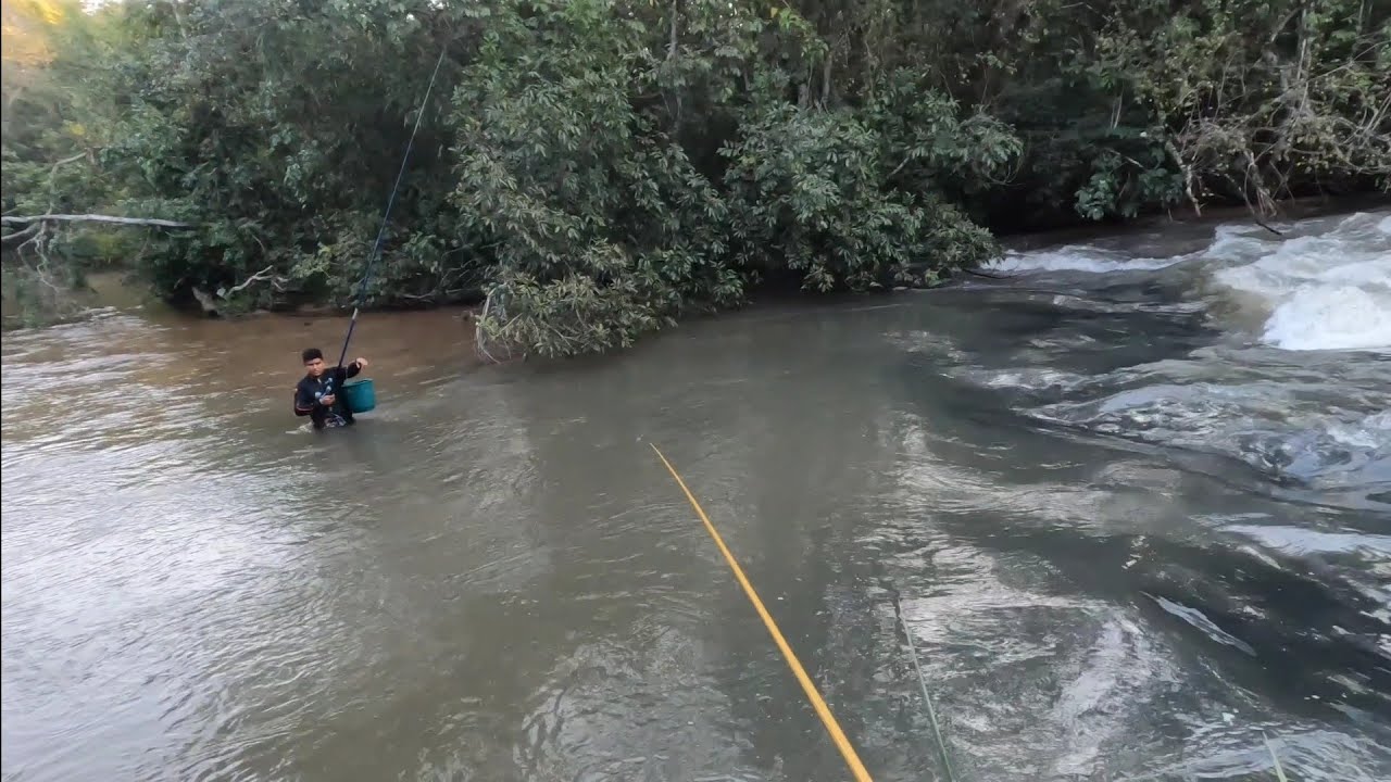 CARDUME DE CORIMBAS, E ELE SALVOU A PESCARIA, MÁS OLHA O QUE ACONTECEU!!!!