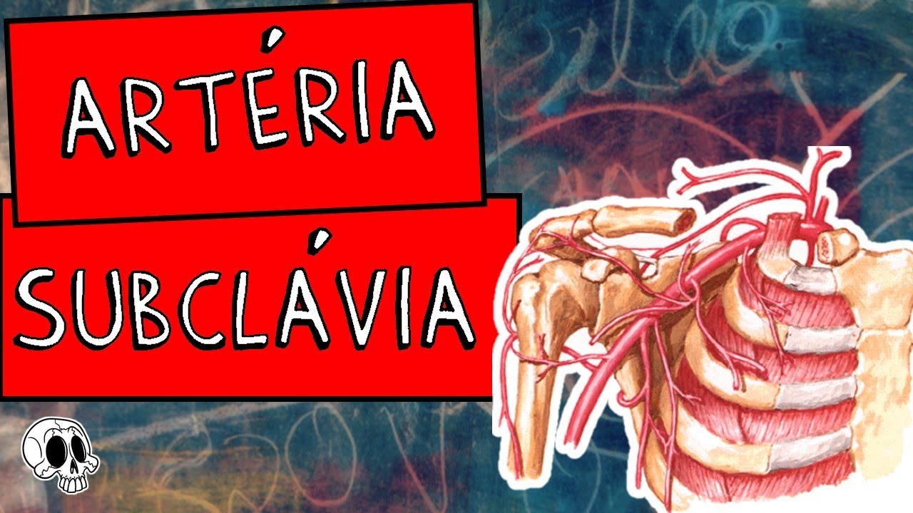 Art&eacute;ria Subcl&aacute;via