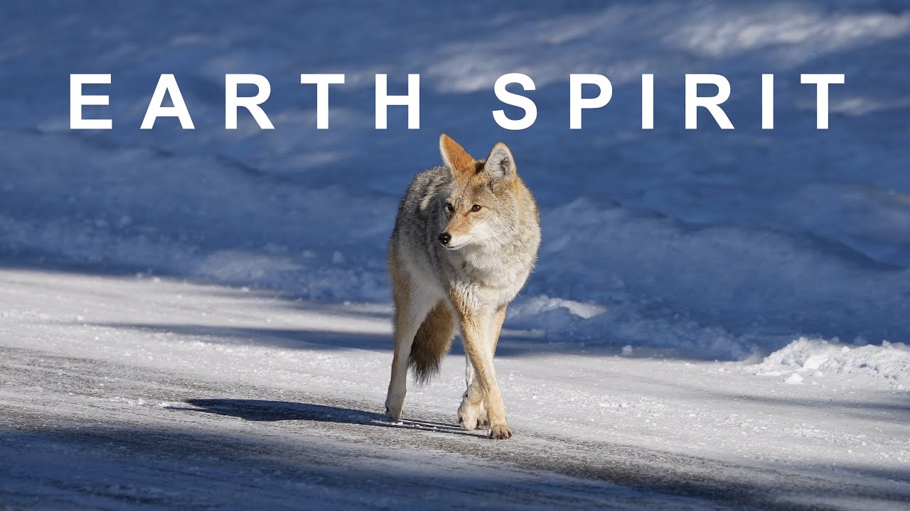 Earth Spirit - Beautiful and evocative Spanish guitar music (Mark Barnwell)