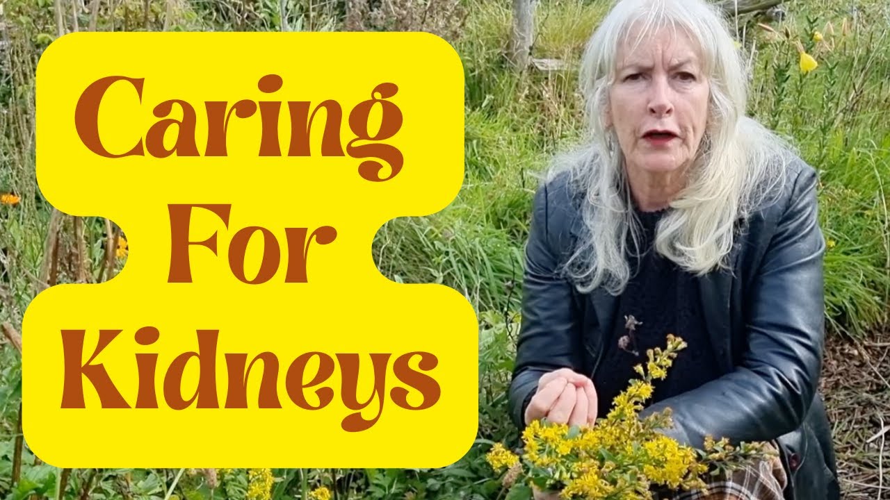 Caring For Kidneys