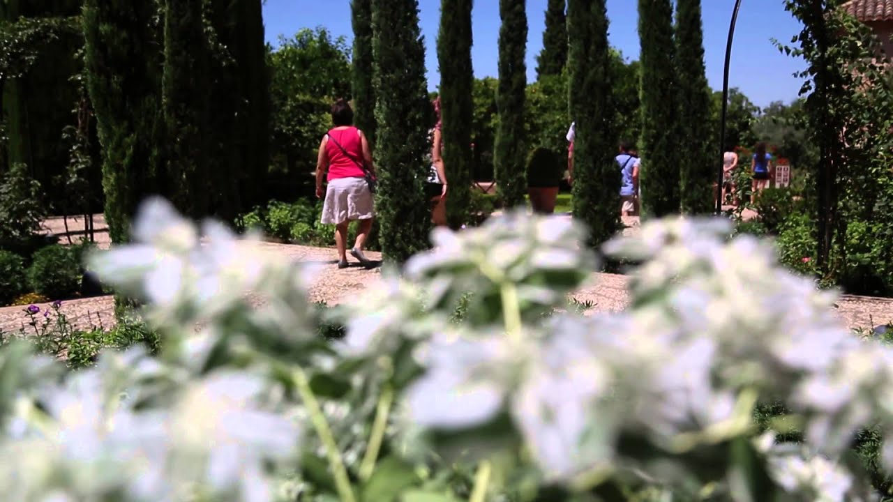 Euforbia blanca, planta del mes de Agosto en la Alhambra