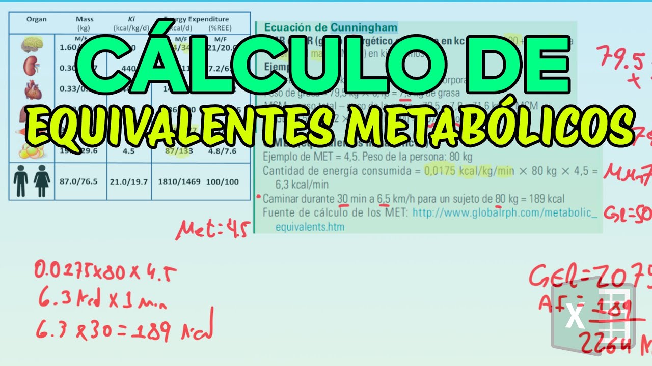 Aprende a calcular correctamente las necesidades energéticas | METS