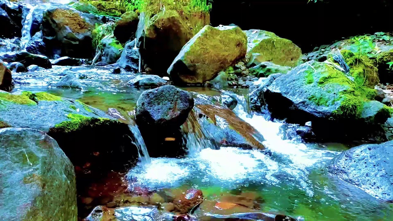 Deep Sleep River Soundscape with Natural Water Flow and Calm Night Atmosphere