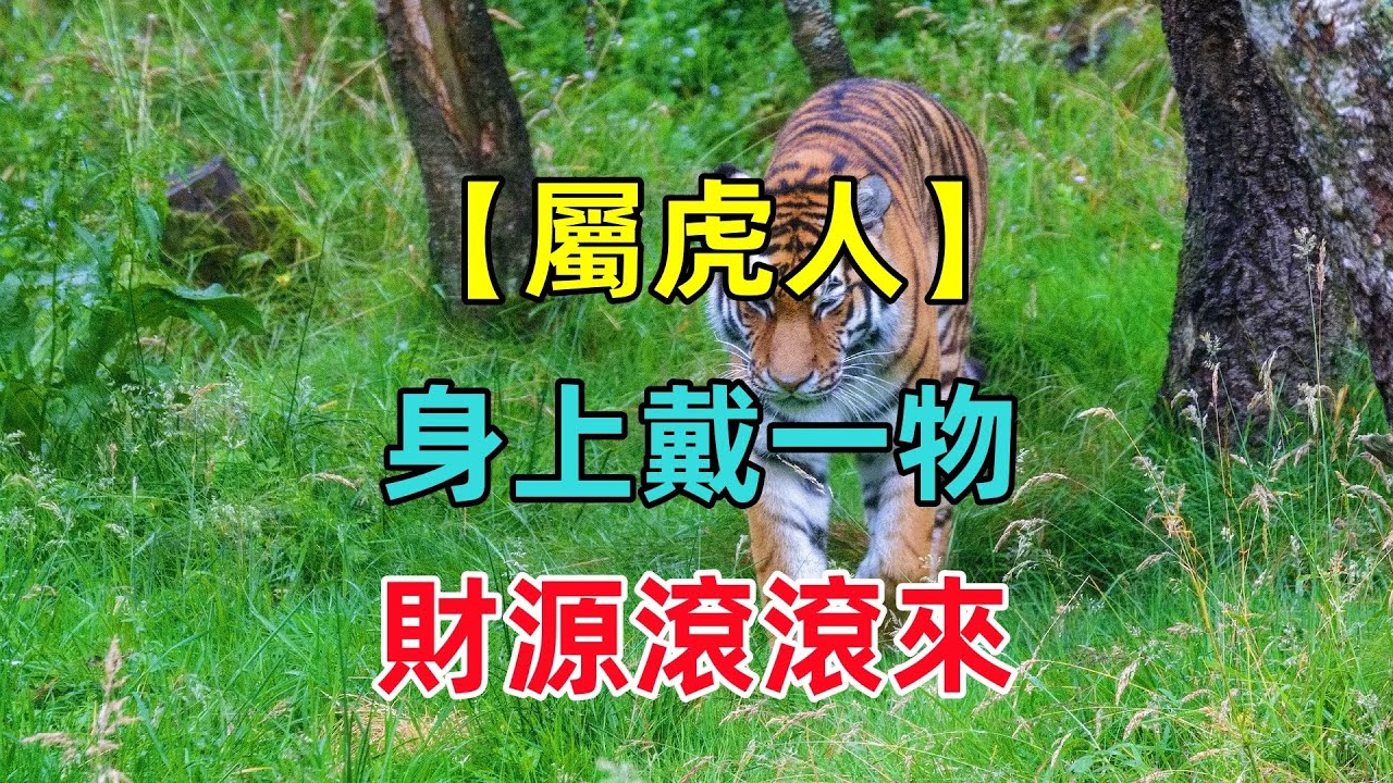 【屬虎終身吉祥物】屬虎人身上戴一物，招財又轉運，財源滾滾來！