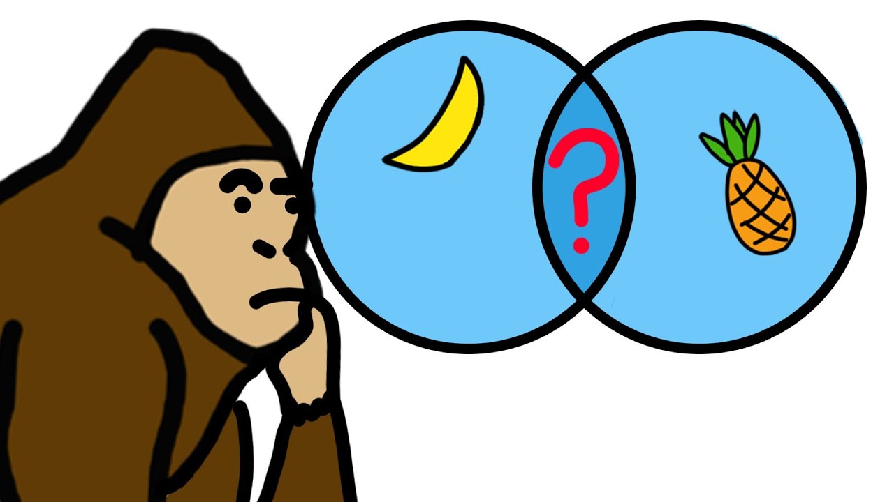 TEORIA DE CONJUNTOS |  Explicado con PLATANOS