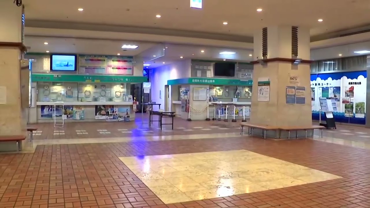 Severe tropical storm off Japan disrupts flights and ferries