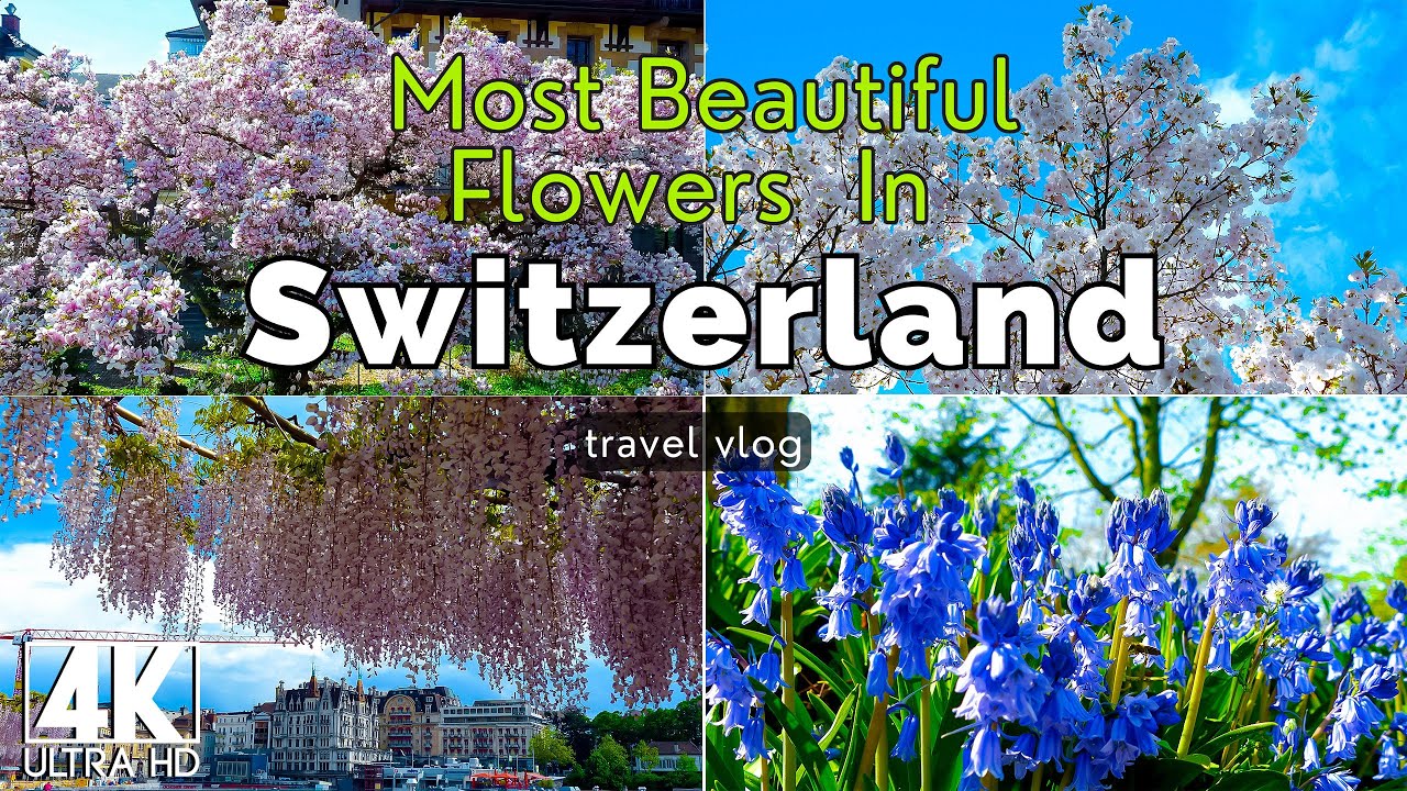 The Most Beautiful Flowers 🌿 🌼 In Switzerland  With Relaxing Music. Beautiful Switzerland 4k