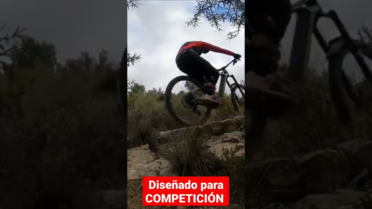Nuevo motor Bosch RACE