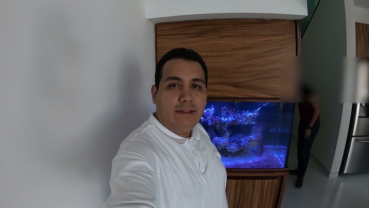 Eliminando cianobacteria en acuario marino