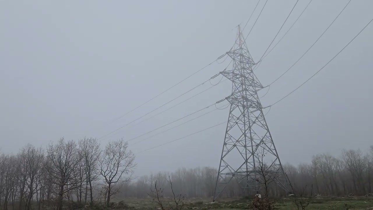 Misty day walk in a service road of a power line inside woods.