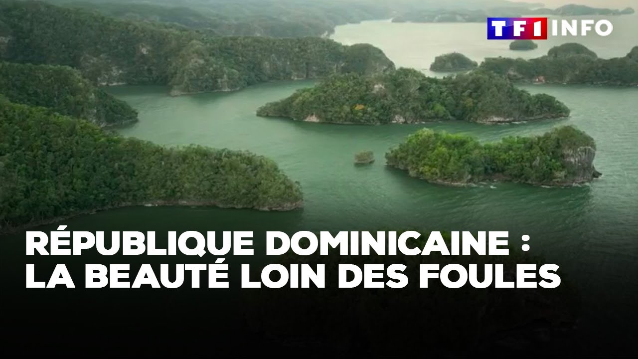 République dominicaine : la beauté loin des foules｜TF1 INFO
