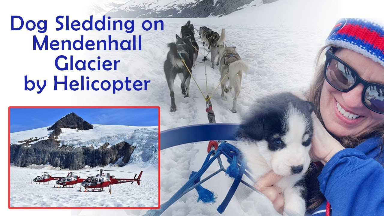Glacier Helicopter and Dog Sledding Adventure Juneau Alaska