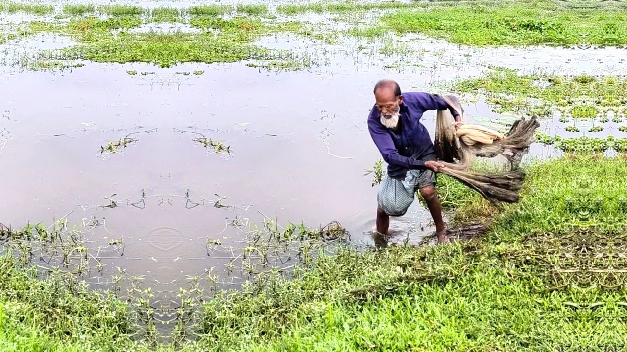 Village Cast Net Fishing - Poor Fisherman Catching Fish - Best Net Fishing in River