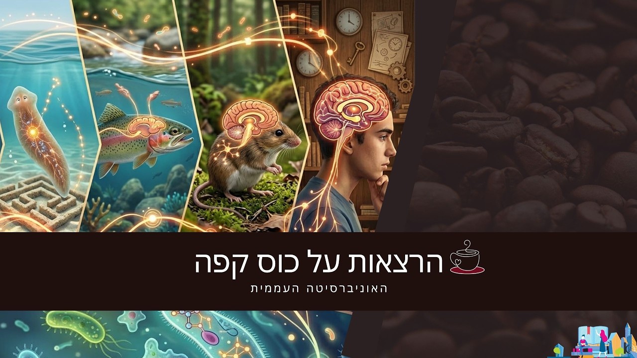 האבולוציה של הזיכרון - עידית חריף | האוניברסיטה העממית #6
