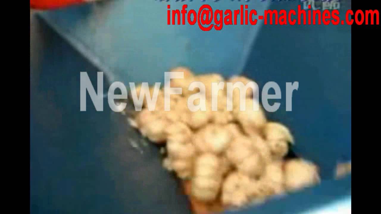garlic separating breaking machine ,garlic splitter