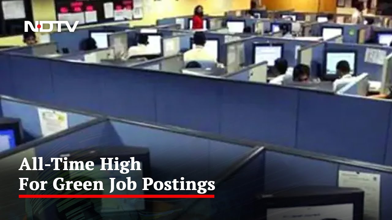 81% Surge In Demand For Green Jobs: Report