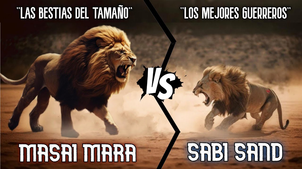 MASAI MARA VS SABI SAND | La GUERRA de DOS MUNDOS