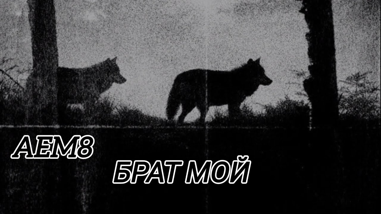 AEM8 - БРАТ МОЙ