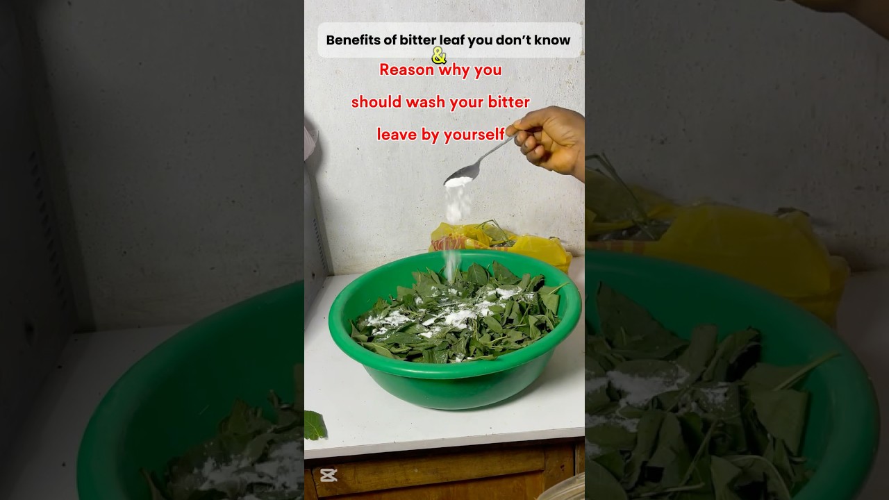 Let me teach you an easy way to wash your bitter leaf by yourself because it&rsquo;s very important