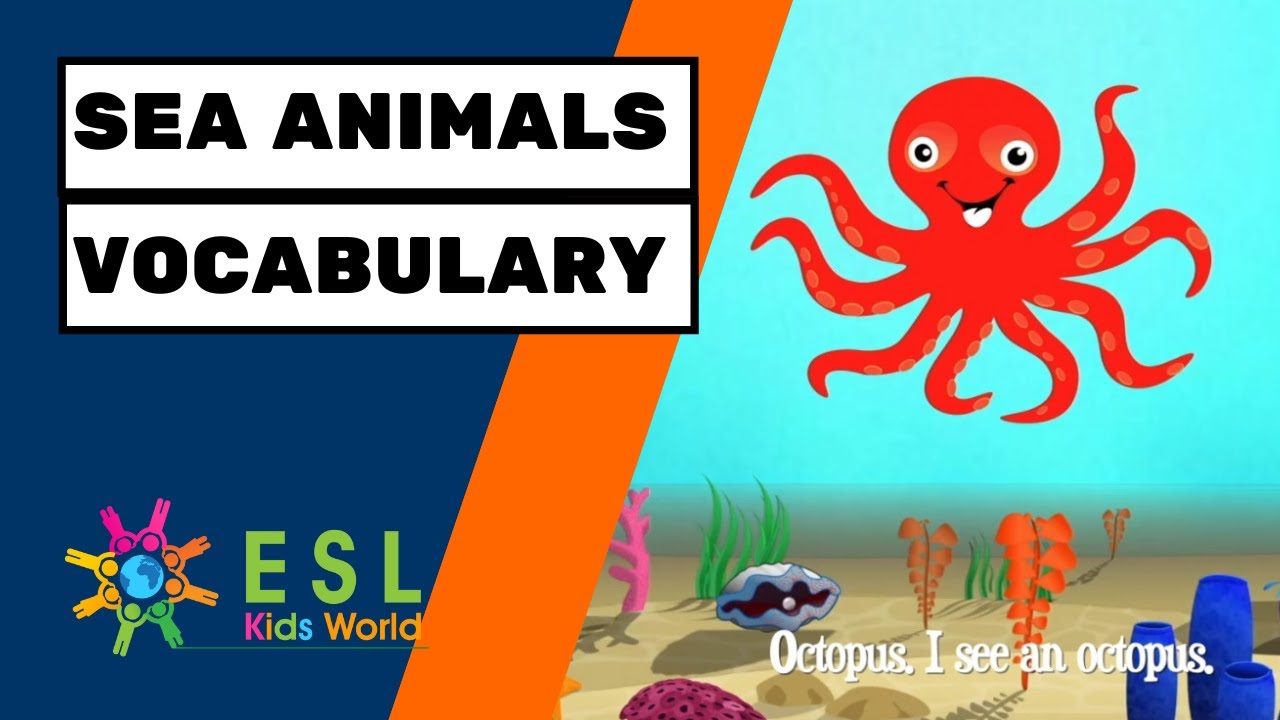 Ocean Animals | Sea Animals for Kids | Learning Aquatic Animal Names