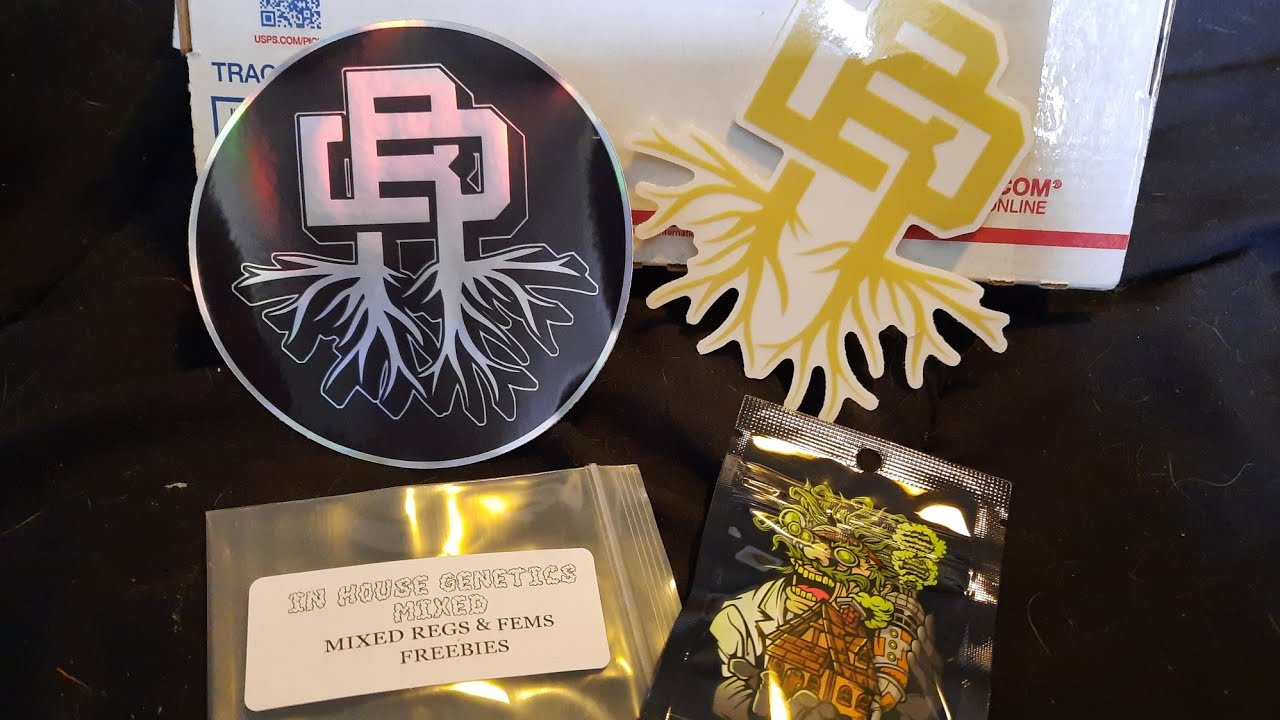 Deeply Rooted Seedbank Unboxing - Slurricane #7 s1