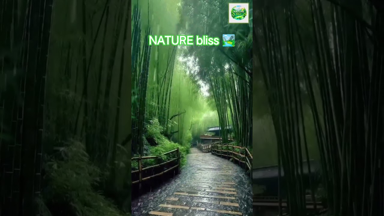 NATURE bliss 🏞️