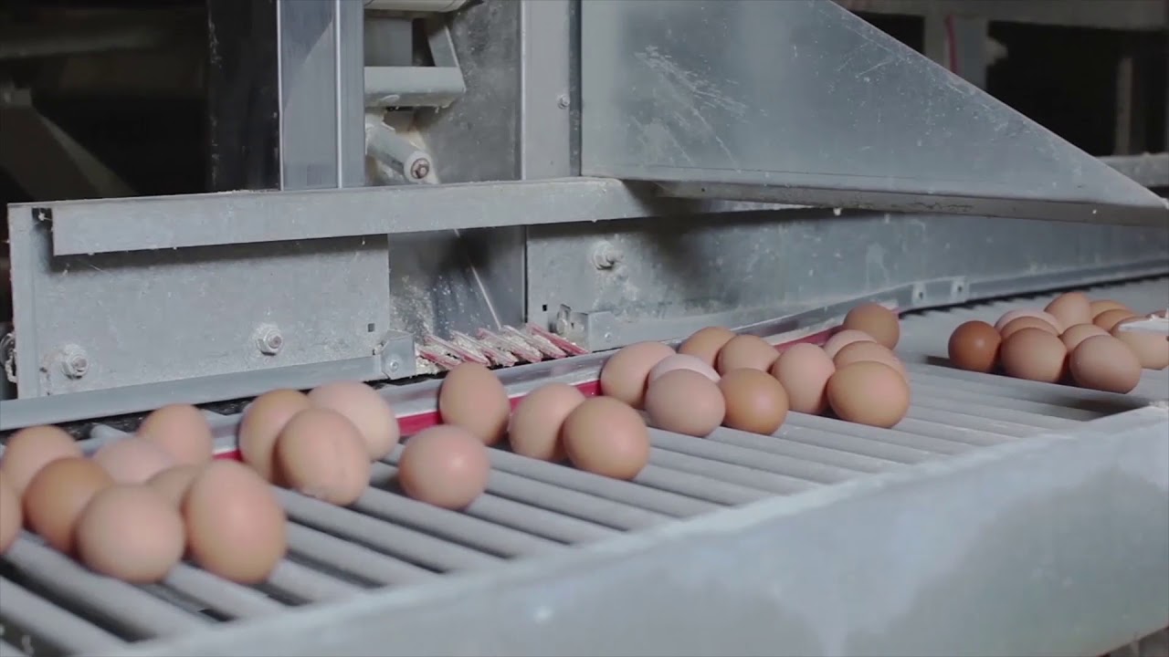 👀SISTEMAS integrados de PRODUCCI&Oacute;N propia 👀📈