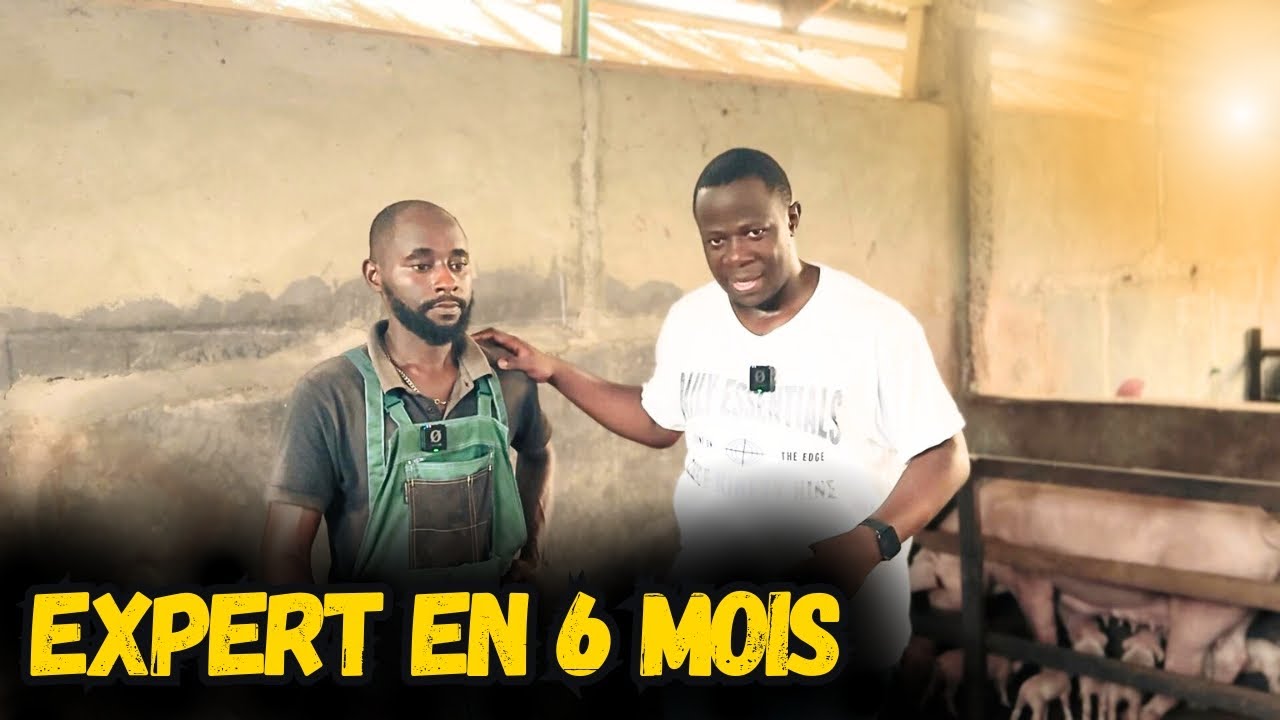 Voici la preuve : réussir en élevage de porcs est plus facile que vous ne le pensez !