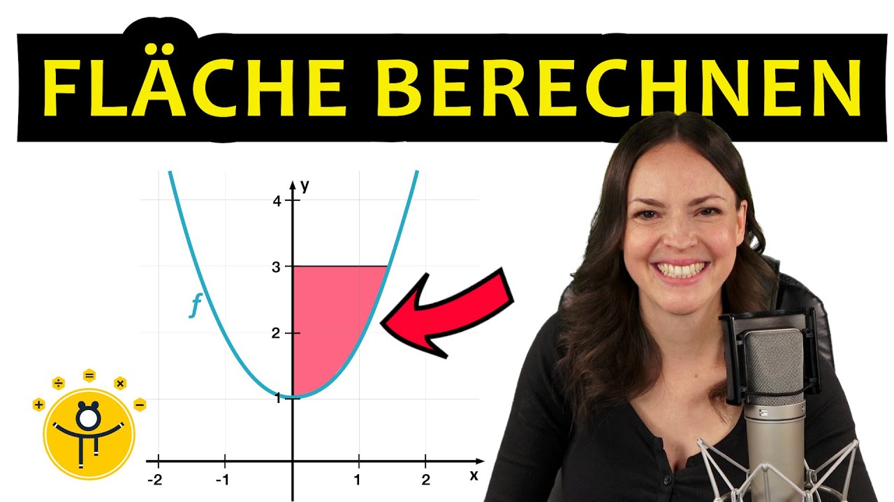 Integralrechnung – Flächenberechnung Integral