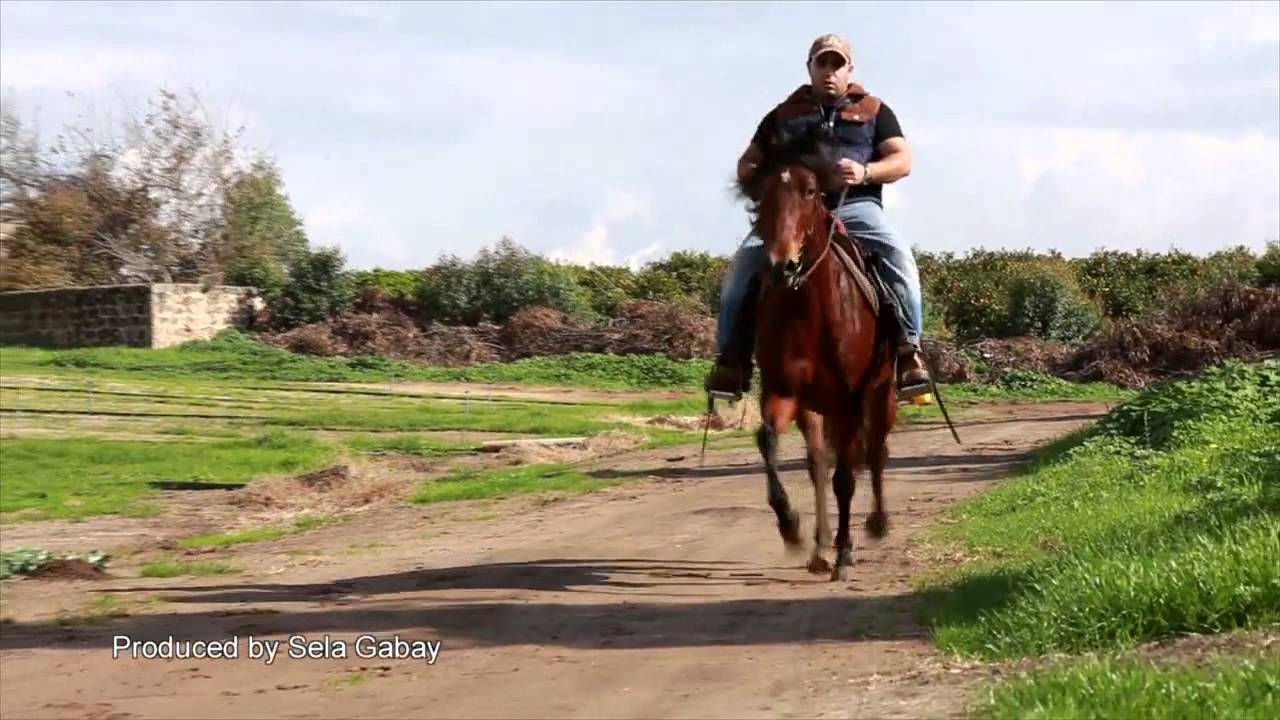 רולטה טנוביאן