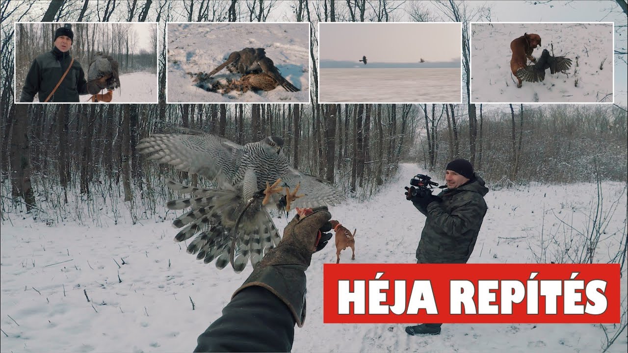 Vadkaland - HÉJA REPÍTÉS